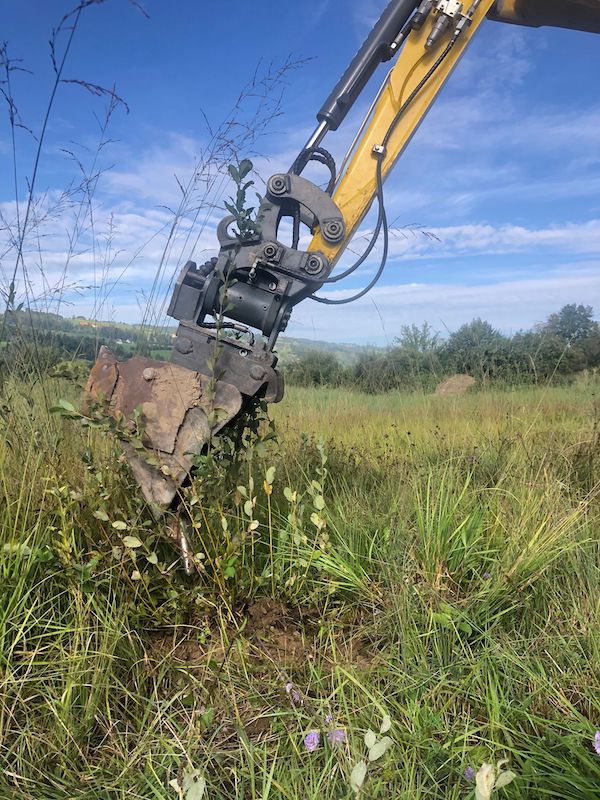 Im Ronfeld werden aufkommende Gehölze entfernt. Foto: Pro Natura Luzern