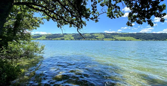 Baldeggersee - Foto: Peter Wyss