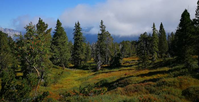 Haglere © Samuel Ehrenbold