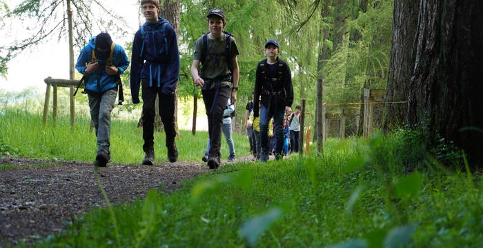 Entdeckungstour in der Rengglochschlucht