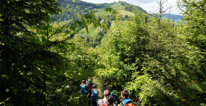 Entdeckungstour in der Rengglochschlucht