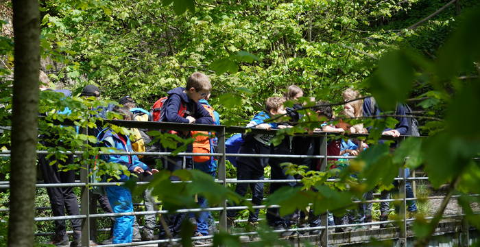 Entdeckungstour in der Rengglochschlucht