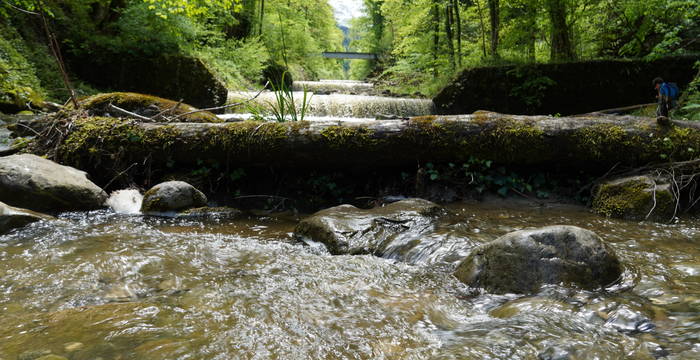 Entdeckungstour in der Rengglochschlucht