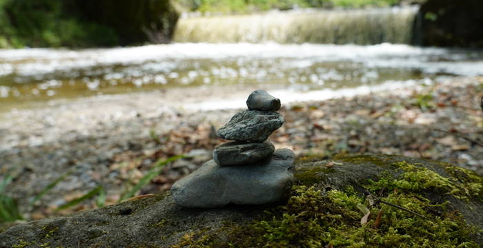 Entdeckungstour in der Rengglochschlucht