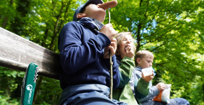 Spiel und Spass im Wald