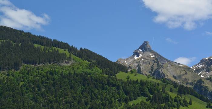 Pfila «Biber, Eule und Co. – Unser Abenteuer im Waldzoo»