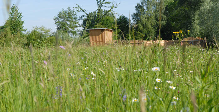 Beobachtungshütte im Ronfeld - Foto: Niklaus Troxler