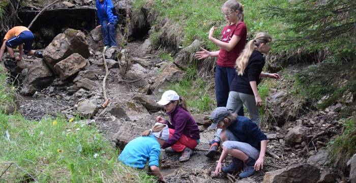 Pfila «Biber, Eule und Co. – Unser Abenteuer im Waldzoo»