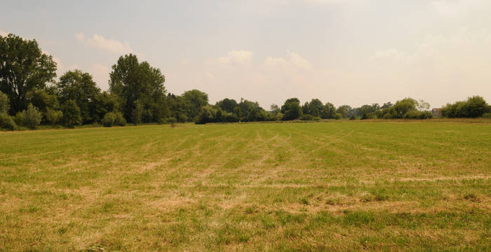 Vor der Renaturierung - Foto: Niklaus Troxler