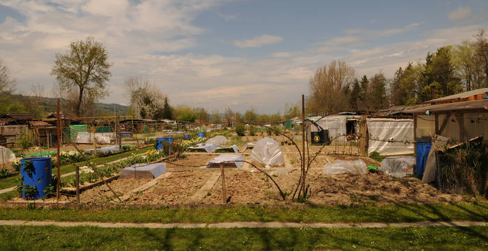 Schrebergärten vor der Räumung - Foto: Niklaus Troxler