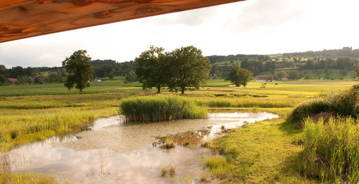 Blick aus der Beobachtungshütte - Foto: Niklaus Troxler