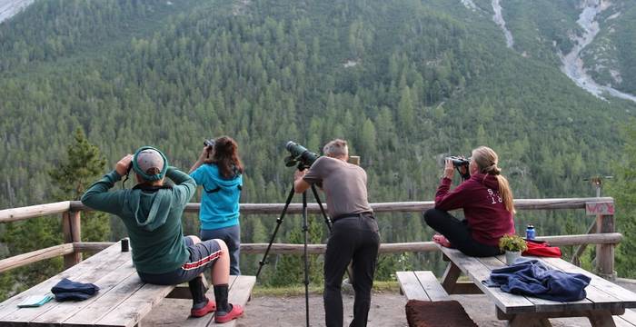 Sommerlager «Allegra Tannenhäher – Das Nationalparkabenteuer» Tag 4