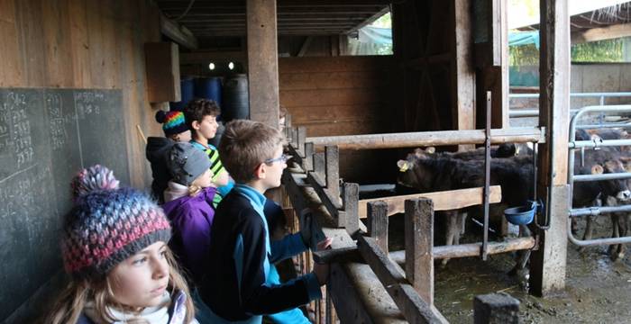 Bauernhof-Arbeitseinsatz