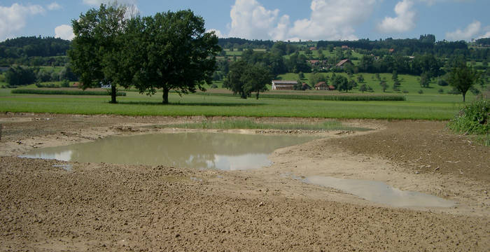 Bau der ersten Kleingewässer - Foto: Niklaus Troxler