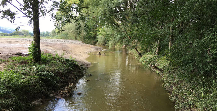 Aufgewertete Ron bei Hochwasser - Foto: Niklaus Troxler