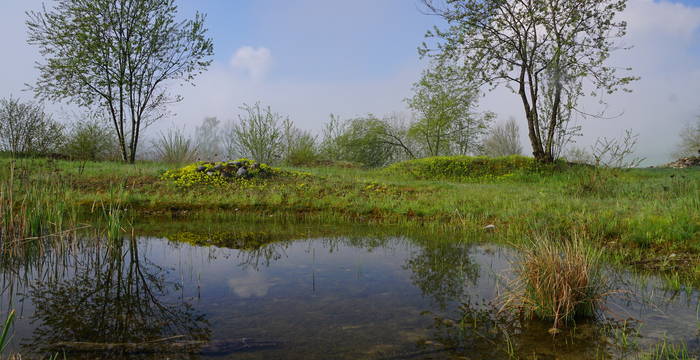 Grueb Triengen - Foto: Samuel Ehrenbold