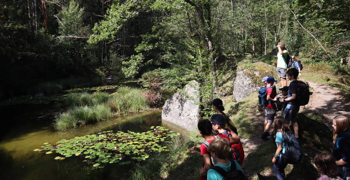 Auf den Spuren der Moorlandschaft