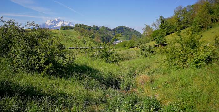 Lettenbach Adligenswil - Foto: Samuel Ehrenbold