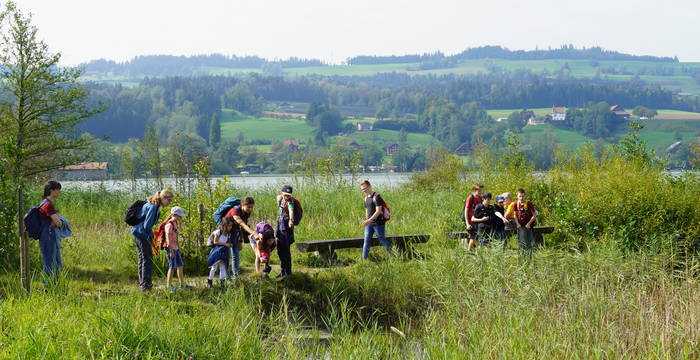 Vogelberingung