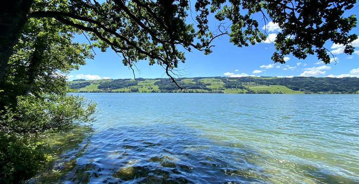 Baldeggersee - Foto: Peter Wyss