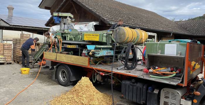 Mosten für den 100-Sorten-Saft - Foto: Roger Hodel