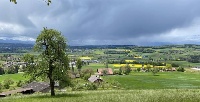 Zwischen Büron und Schlierbach - Foto: Roger Hodel