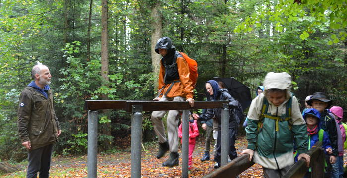 Wildtierbrücke