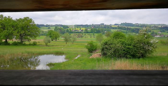 Blick aus dem Hide Ronfeld. Foto: Samuel Ehrenbold