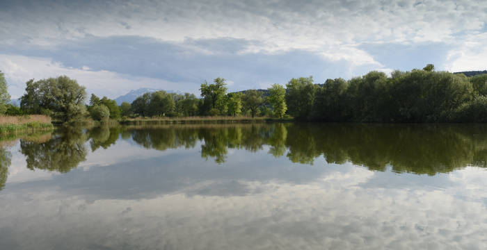 Baldeggersee bei Baldegg - Foto: Pro Natura Luzern