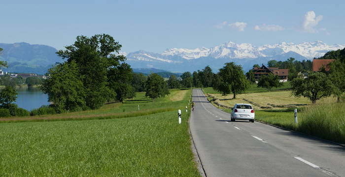 Strasse auf der Westseite des Baldeggersees - Foto: IG Weitsicht