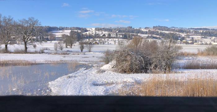 Ronfeld im Winter