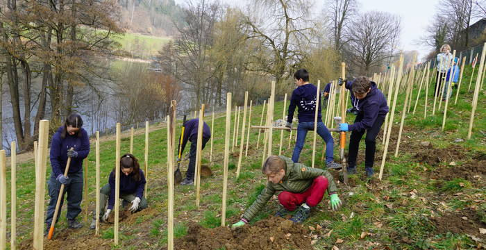 Arbeitseinsatz (4.3.23)