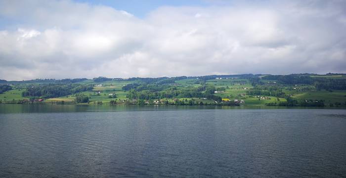 Baldeggersee. Foto: Samuel Ehrenbold