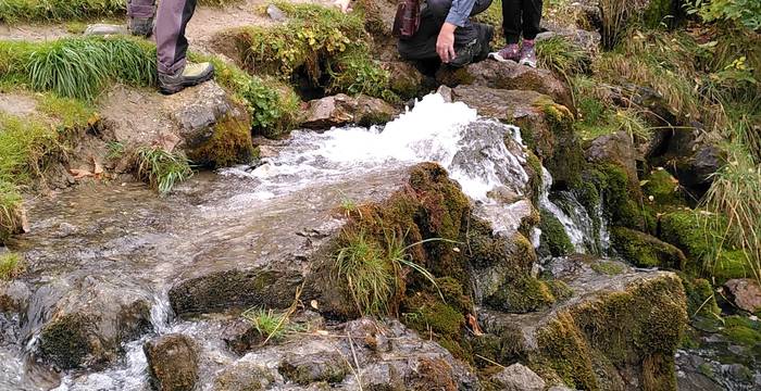 Einen Schluck frisches Quellwasser nehmen?