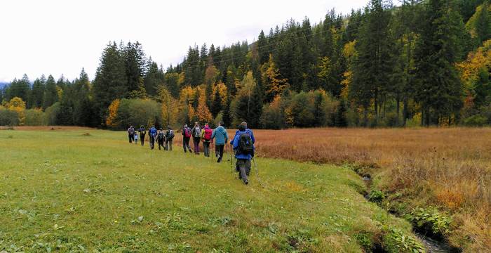 Die Wanderung führte entlang von Hoch- und Flachmooren.