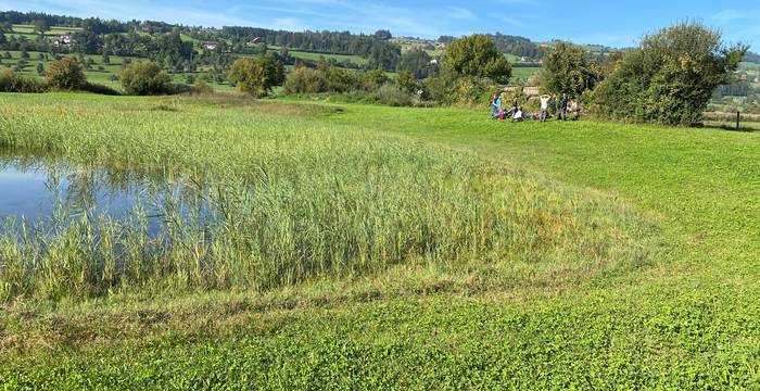 Weiher im Ronfeld