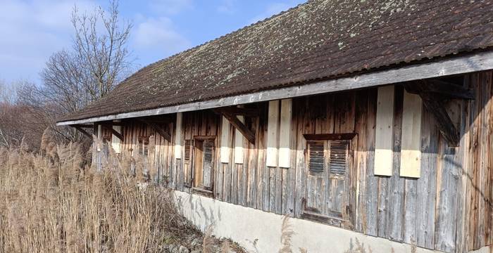 Fledermausspaltenverstecke an der Fassade