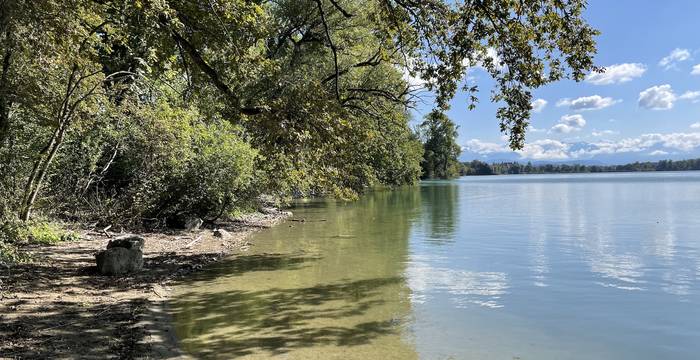 Baldeggersee. Foto: Markus Bieri