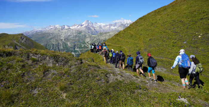 Sommerlager - unterwegs in der Natur