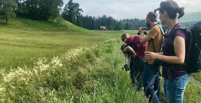 Team auf Wanderung