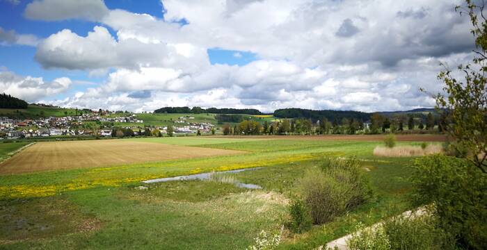 Wauwiler Ebene. Foto: Samuel Ehrenbold