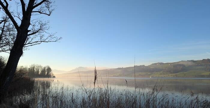 Baldeggersee im Dezember. Foto: Samuel Ehrenbold