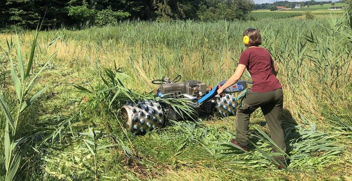 Pflege wertvoller Naturschutzgebiete. Foto: Pro Natura Luzern