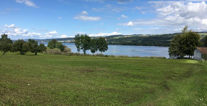 Gülle auf einer Wiese am Baldeggersee