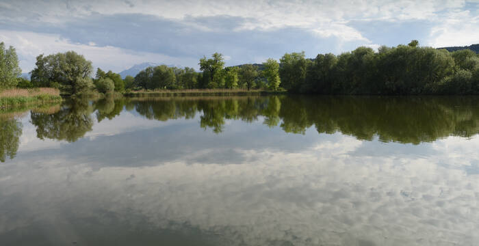Baldeggersee Südende