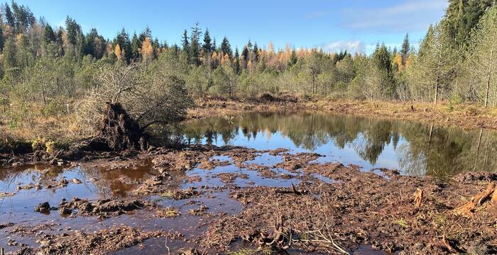 Balmoos, Hasle LU, November 2025. Foto: Pro Natura
