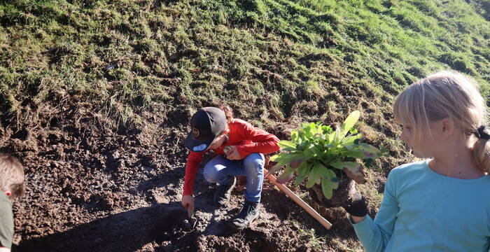 Grüner Daumen im Einsatz