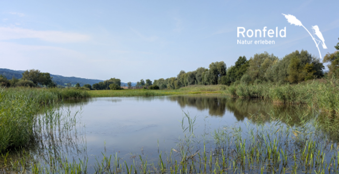Ronfeld Flutmulden. Foto: Samuel Ehrenbold