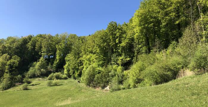 Schutzgebiet Gitzitobel