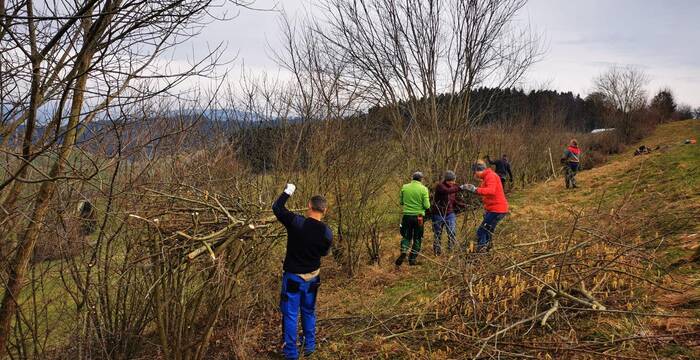 Menschen pflegen eine Wildhecke